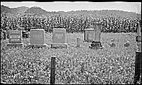 Cowan Cem