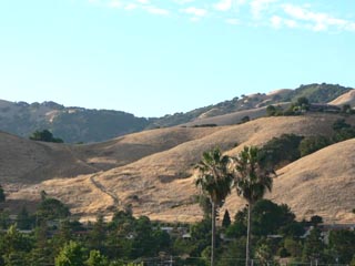 Typical Marin County summertime golden hills