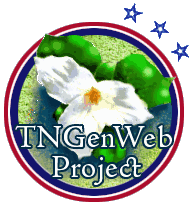 TNGenWeb Project