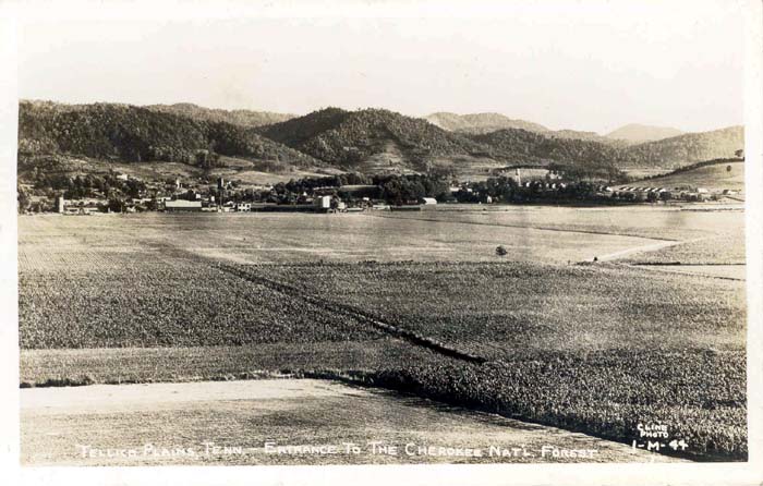 A View of Tellico Plains Circa 1910 