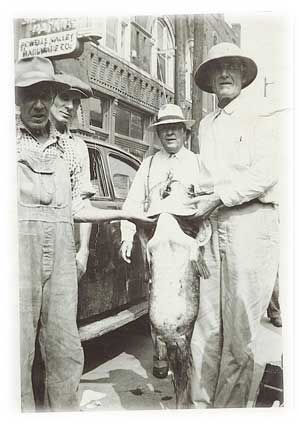 Catfish at Norris Lake
