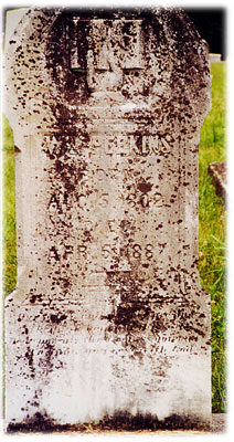Wm Perkins Tombstone