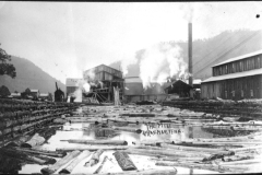 Pittsburgh Lumber Company yard and log pond, circa 1910-1920