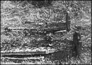 Stockton Coffin Shaped Monuments
