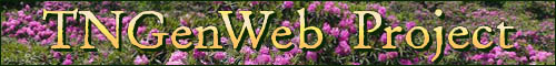 TNGenWeb Project