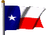 TX flag