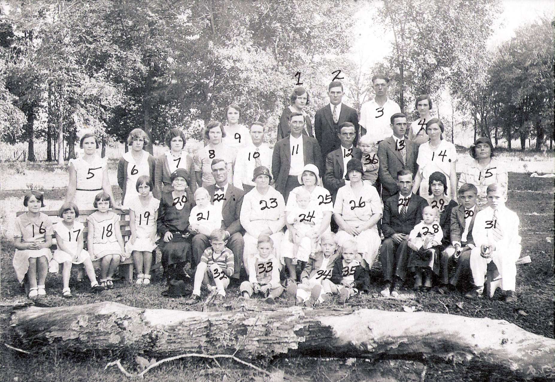 click for smaller image