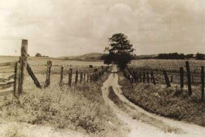 Road to the Kline Farm