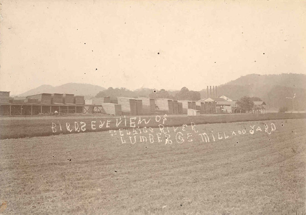 Tellico River Lumber Company Lumber Mill & Yard