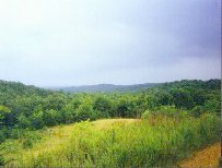 Champion homesite in LBL