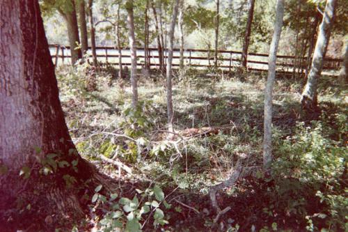 Another Inside View of Defree
Cemetery