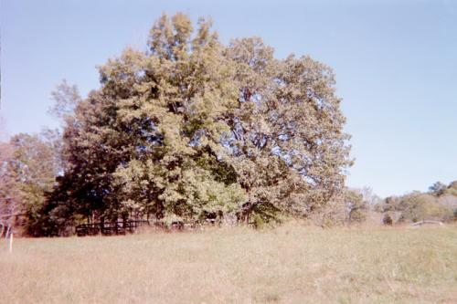Cemetery at a Distance